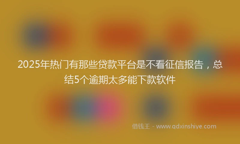 2025年热门有那些贷款平台是不看征信报告，总结5个逾期太多能下款软件