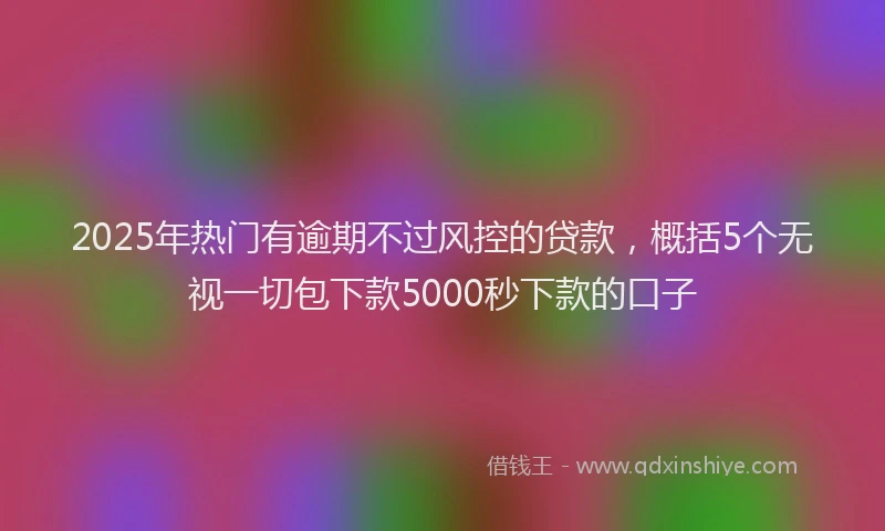 2025年热门有逾期不过风控的贷款,概括5个无视一切包下款5000秒下款的口子