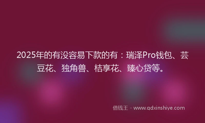2025年的有没容易下款的有：瑞泽Pro钱包、芸豆花、独角兽、桔享花、臻心贷等。