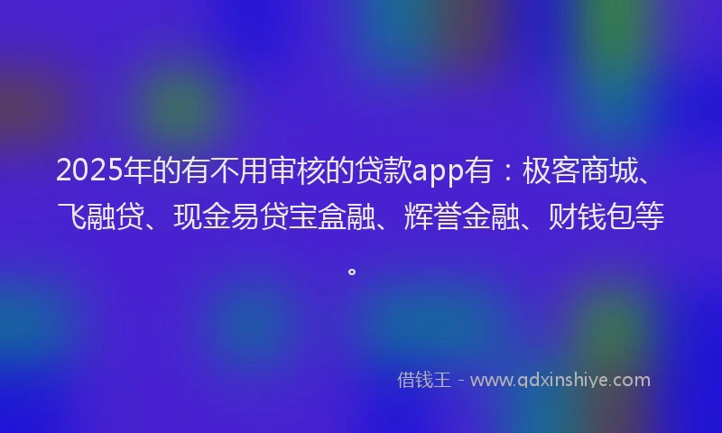 2025年的有不用审核的贷款app有：极客商城、飞融贷、现金易贷宝盒融、辉誉金融、财钱包等。