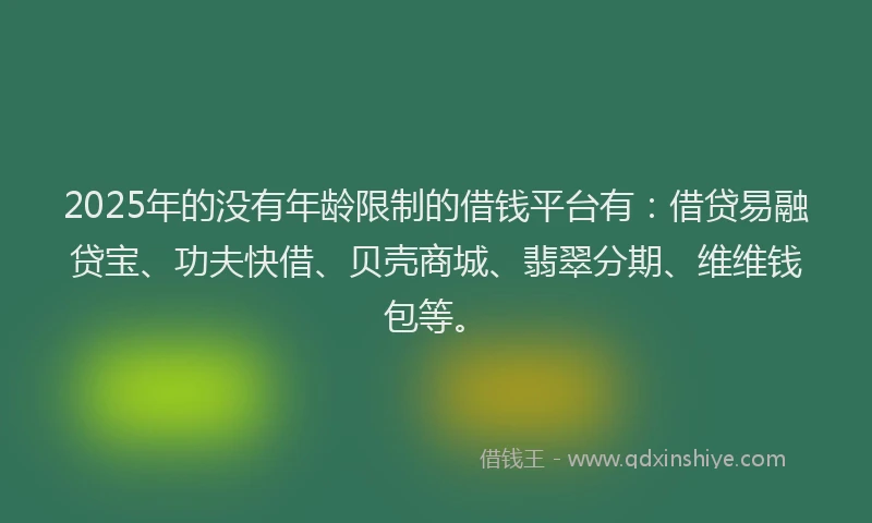 2025年的没有年龄限制的借钱平台有：借贷易融贷宝、功夫快借、贝壳商城、翡翠分期、维维钱包等。