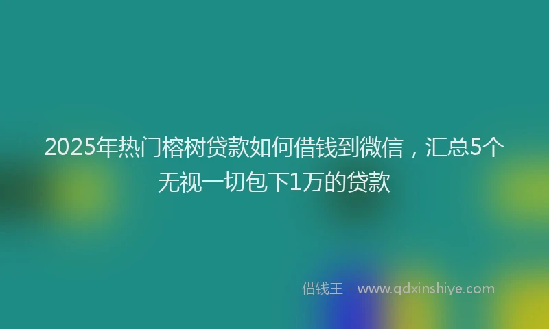 2025年热门榕树贷款如何借钱到微信，汇总5个无视一切包下1万的贷款