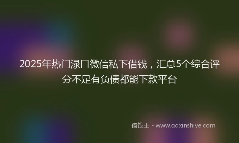 2025年热门渌口微信私下借钱，汇总5个综合评分不足有负债都能下款平台