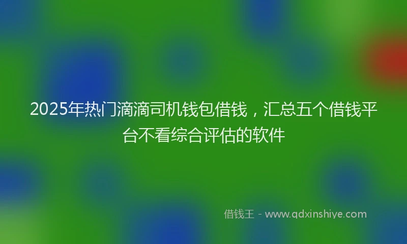 2025年热门滴滴司机钱包借钱，汇总五个借钱平台不看综合评估的软件