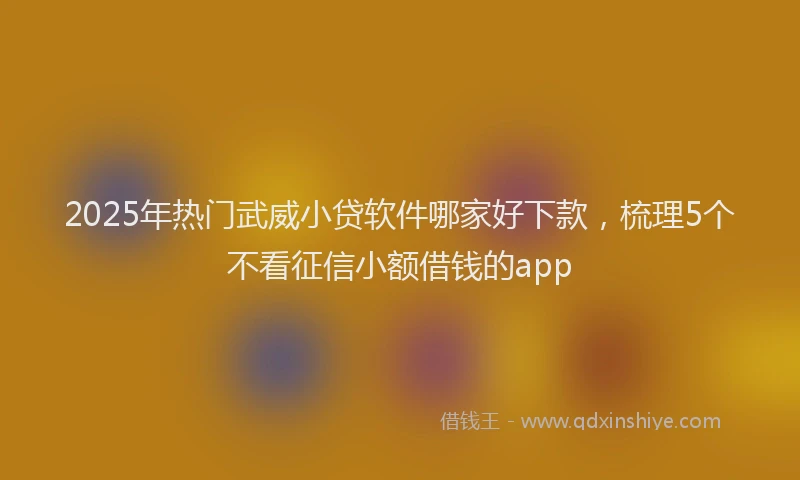 2025年热门武威小贷软件哪家好下款，梳理5个不看征信小额借钱的app