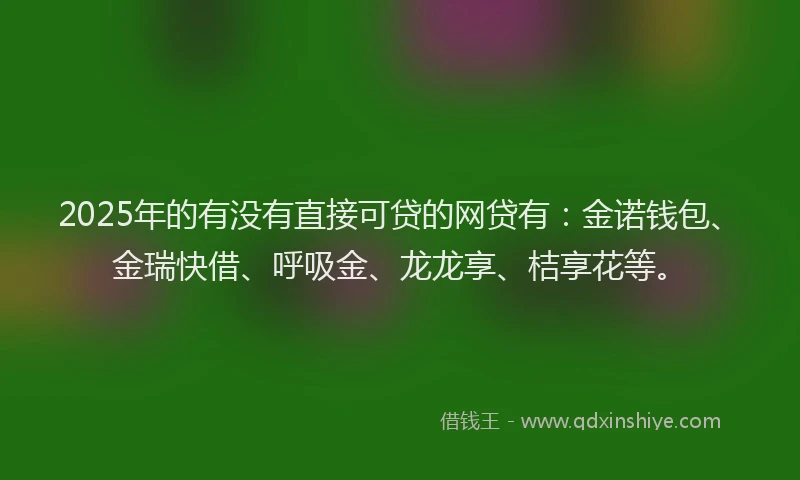 2025年的有没有直接可贷的网贷有：金诺钱包、金瑞快借、呼吸金、龙龙享、桔享花等。