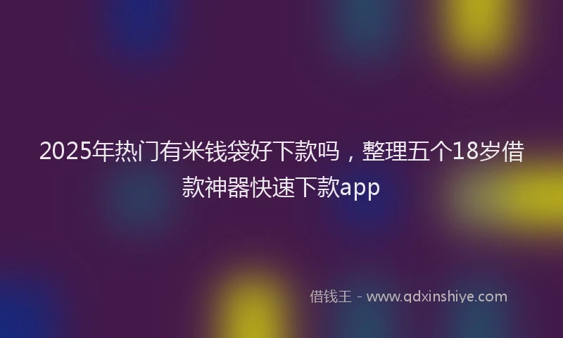 2025年热门有米钱袋好下款吗，整理五个18岁借款神器快速下款app
