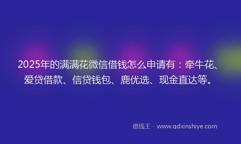 2025年的满满花微信借钱怎么申请有：牵牛花、爱贷借款、信贷钱包、鹿优选、现金直达等。
