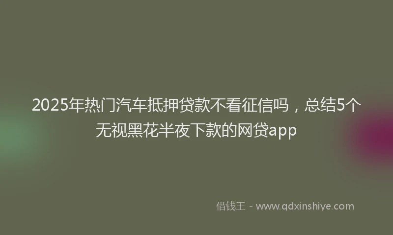 2025年热门汽车抵押贷款不看征信吗，总结5个无视黑花半夜下款的网贷app