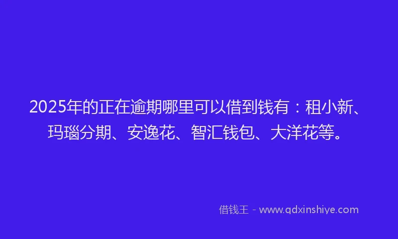2025年的正在逾期哪里可以借到钱有：租小新、玛瑙分期、安逸花、智汇钱包、大洋花等。