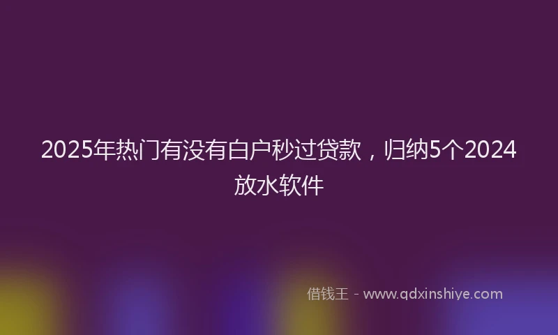 2025年热门有没有白户秒过贷款，归纳5个2024放水软件