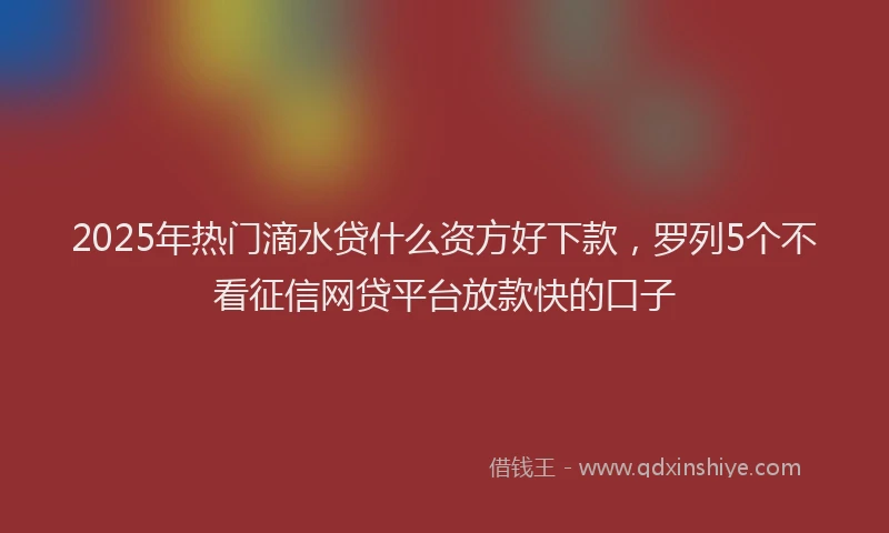 2025年热门滴水贷什么资方好下款，罗列5个不看征信网贷平台放款快的口子