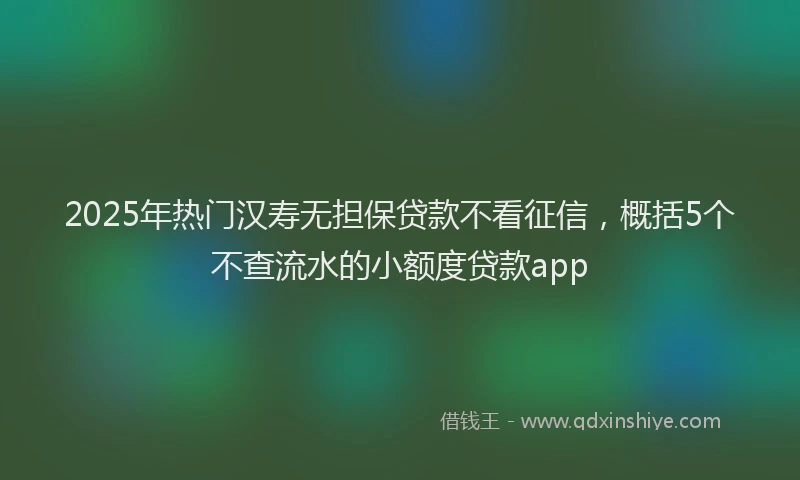 2025年热门汉寿无担保贷款不看征信，概括5个不查流水的小额度贷款app