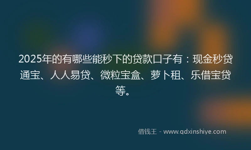 2025年的有哪些能秒下的贷款口子有:现金秒贷通宝、人人易贷、微粒宝盒、萝卜租、乐借宝贷等。
