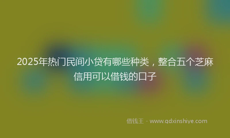 2025年热门民间小贷有哪些种类，整合五个芝麻信用可以借钱的口子