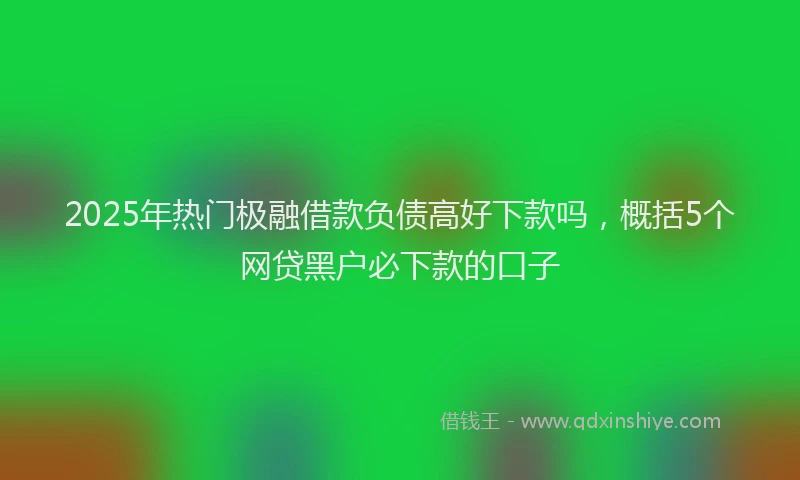 2025年热门极融借款负债高好下款吗，概括5个网贷黑户必下款的口子