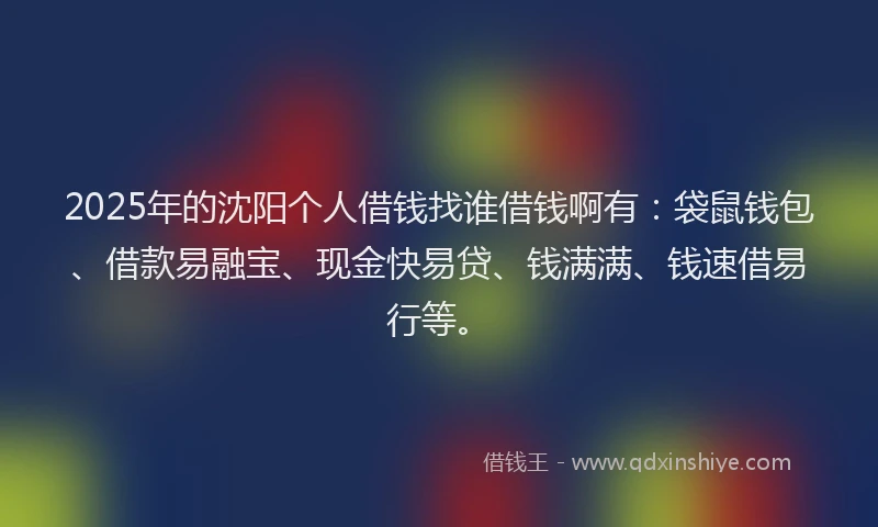 2025年的沈阳个人借钱找谁借钱啊有：袋鼠钱包、借款易融宝、现金快易贷、钱满满、钱速借易行等。
