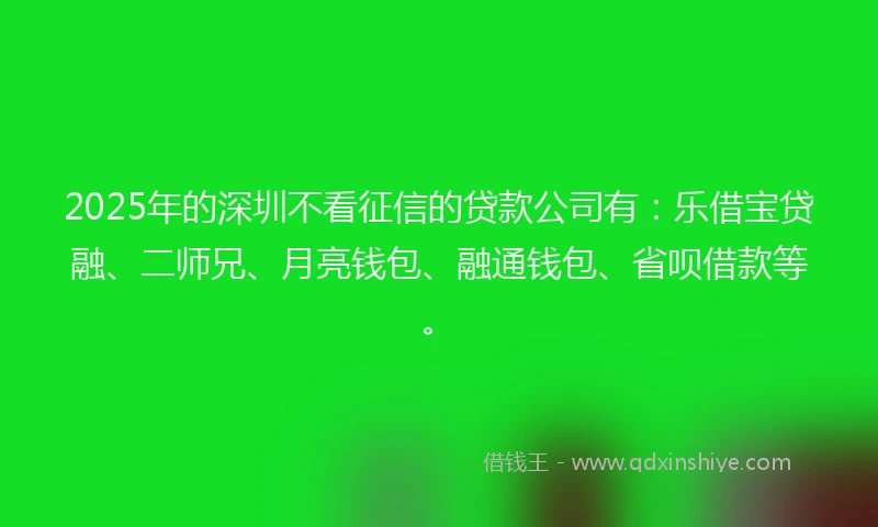 2025年的深圳不看征信的贷款公司有:乐借宝贷融、二师兄、月亮钱包、融通钱包、省呗借款等。