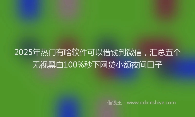 2025年热门有啥软件可以借钱到微信，汇总五个无视黑白100%秒下网贷小额夜间口子