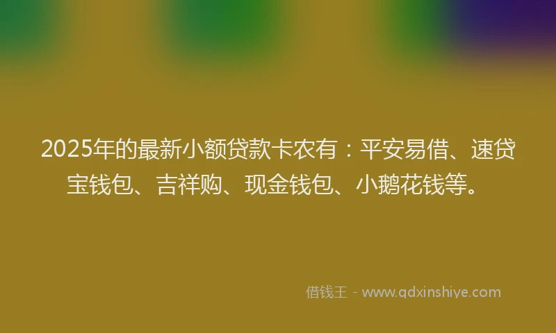 2025年的最新小额贷款卡农有：平安易借、速贷宝钱包、吉祥购、现金钱包、小鹅花钱等。