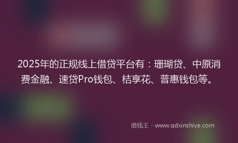 2025年的正规线上借贷平台有：珊瑚贷、中原消费金融、速贷Pro钱包、桔享花、普惠钱包等。