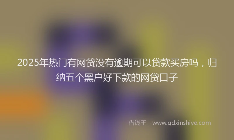 2025年热门有网贷没有逾期可以贷款买房吗，归纳五个黑户好下款的网贷口子