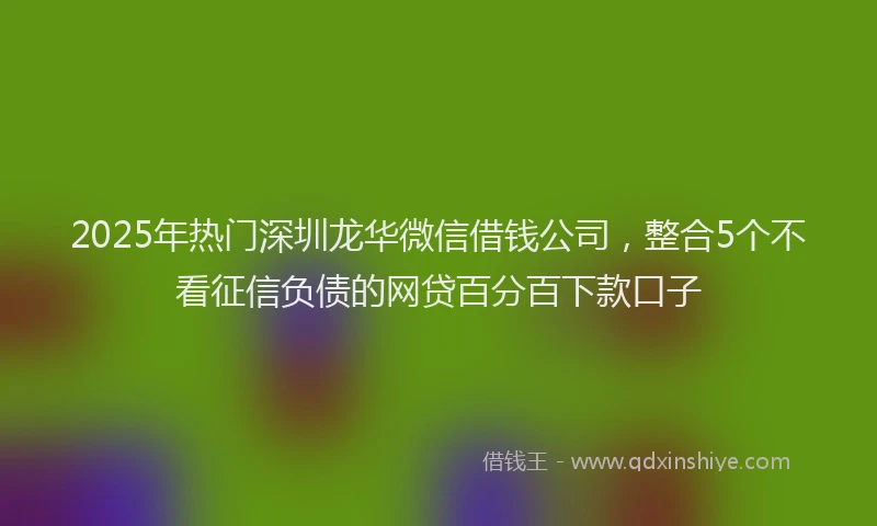 2025年热门深圳龙华微信借钱公司，整合5个不看征信负债的网贷百分百下款口子