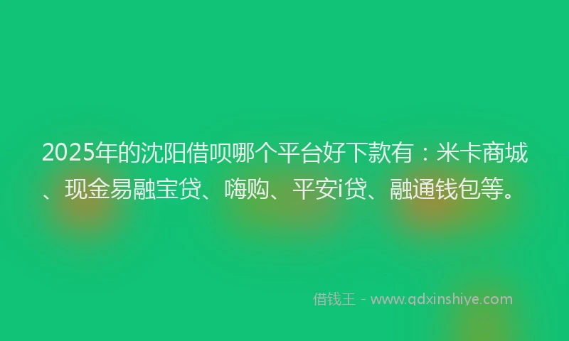 2025年的沈阳借呗哪个平台好下款有：米卡商城、现金易融宝贷、嗨购、平安i贷、融通钱包等。