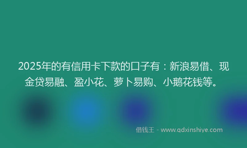 2025年的有信用卡下款的口子有：新浪易借、现金贷易融、盈小花、萝卜易购、小鹅花钱等。