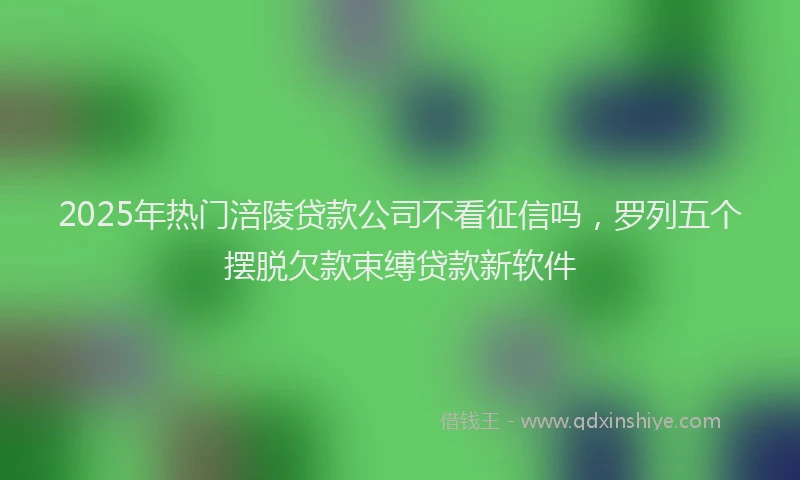 2025年热门涪陵贷款公司不看征信吗，罗列五个摆脱欠款束缚贷款新软件