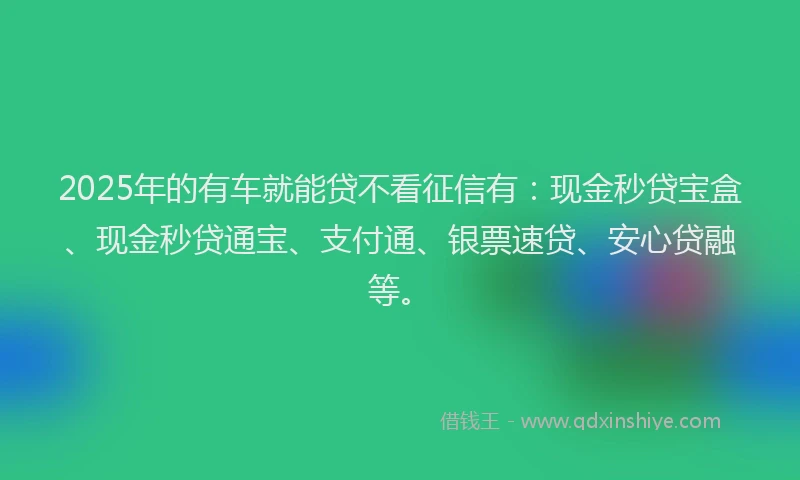 2025年的有车就能贷不看征信有:现金秒贷宝盒、现金秒贷通宝、支付通、银票速贷、安心贷融等。
