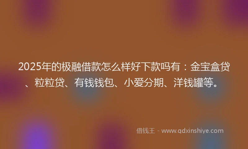 2025年的极融借款怎么样好下款吗有：金宝盒贷、粒粒贷、有钱钱包、小爱分期、洋钱罐等。