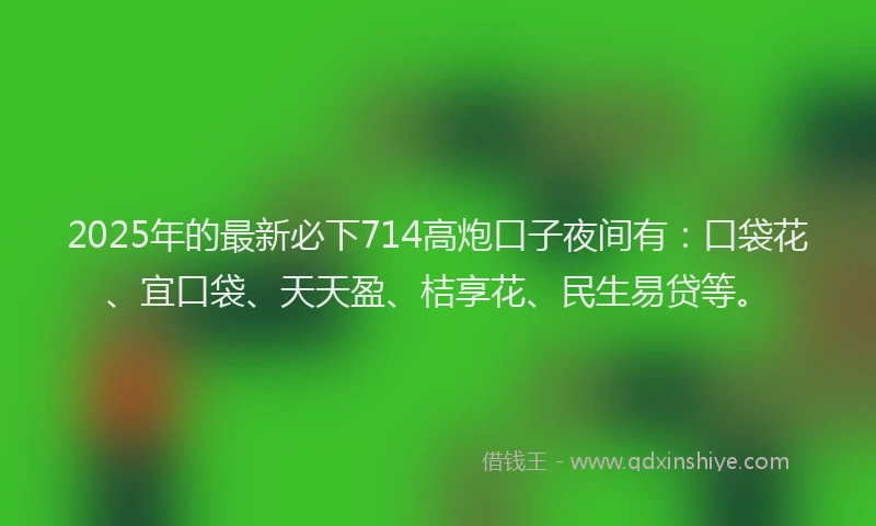 2025年的最新必下714高炮口子夜间有：口袋花、宜口袋、天天盈、桔享花、民生易贷等。