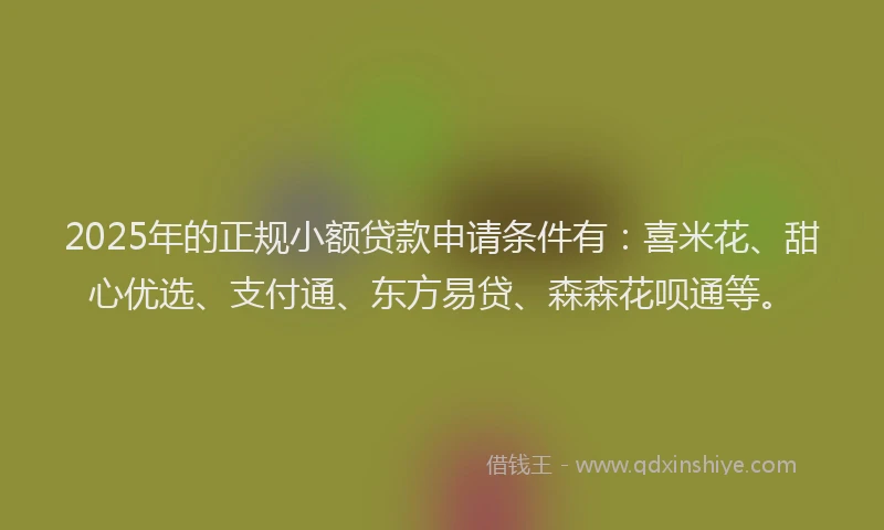 2025年的正规小额贷款申请条件有：喜米花、甜心优选、支付通、东方易贷、森森花呗通等。