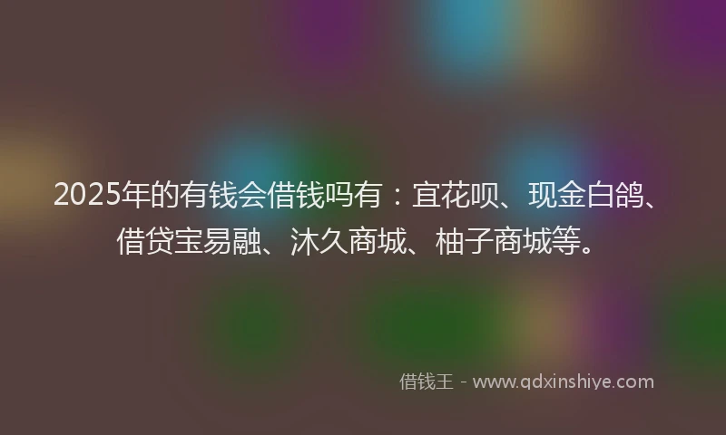 2025年的有钱会借钱吗有:宜花呗、现金白鸽、借贷宝易融、沐久商城、柚子商城等。