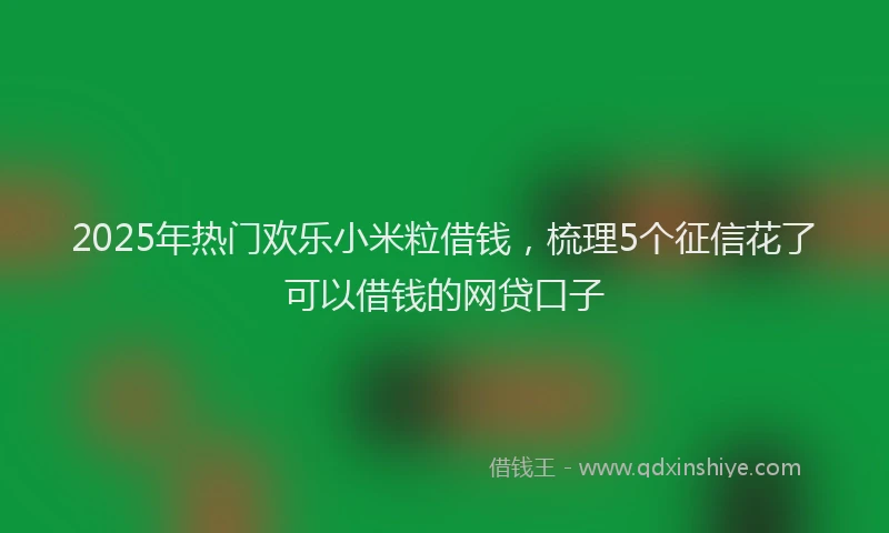 2025年热门欢乐小米粒借钱,梳理5个征信花了可以借钱的网贷口子