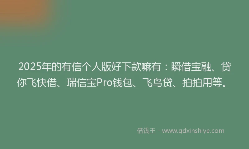 2025年的有信个人版好下款嘛有：瞬借宝融、贷你飞快借、瑞信宝Pro钱包、飞鸟贷、拍拍用等。