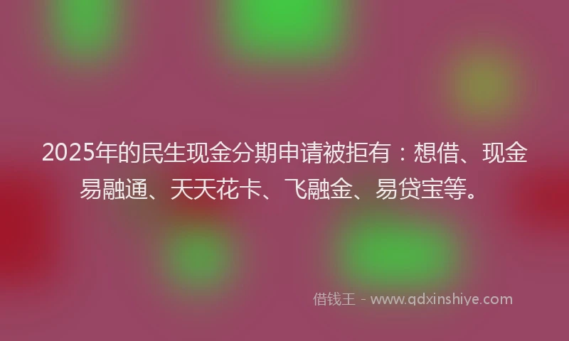 2025年的民生现金分期申请被拒有：想借、现金易融通、天天花卡、飞融金、易贷宝等。