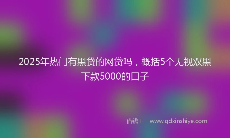 2025年热门有黑贷的网贷吗，概括5个无视双黑下款5000的口子