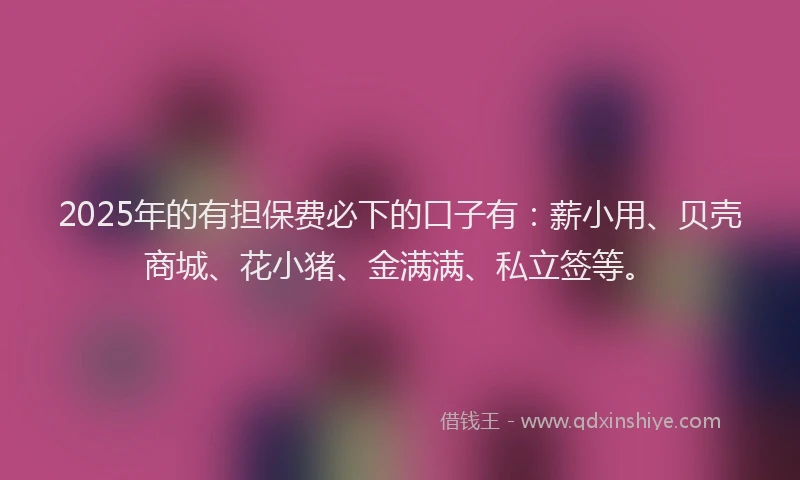 2025年的有担保费必下的口子有：薪小用、贝壳商城、花小猪、金满满、私立签等。