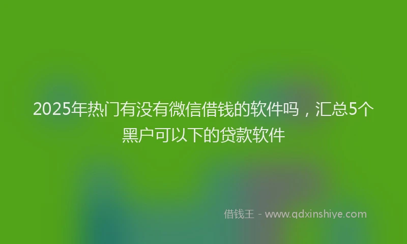 2025年热门有没有微信借钱的软件吗,汇总5个黑户可以下的贷款软件