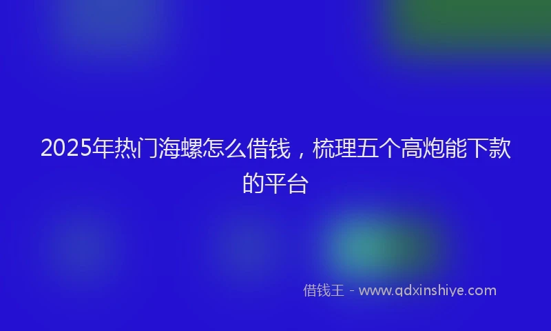 2025年热门海螺怎么借钱,梳理五个高炮能下款的平台