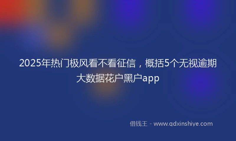 2025年热门极风看不看征信，概括5个无视逾期大数据花户黑户app
