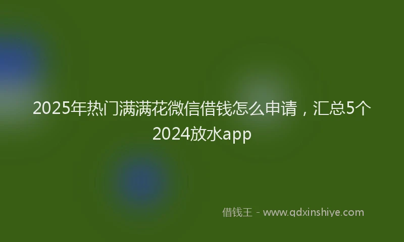 2025年热门满满花微信借钱怎么申请，汇总5个2024放水app