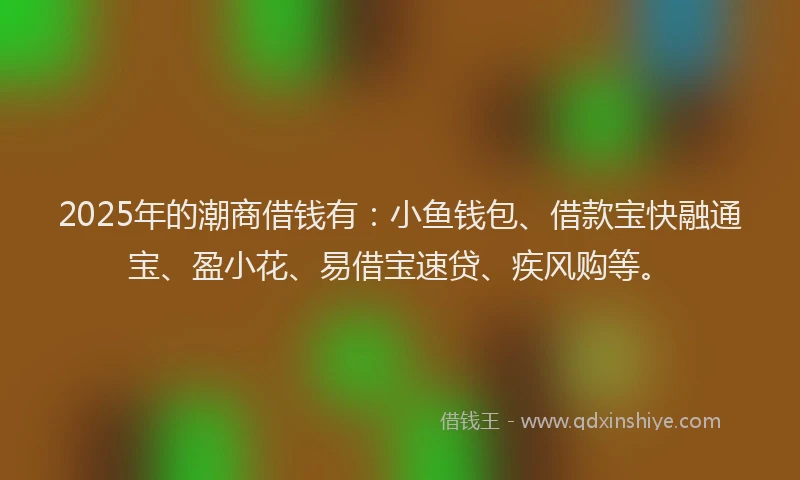 2025年的潮商借钱有：小鱼钱包、借款宝快融通宝、盈小花、易借宝速贷、疾风购等。