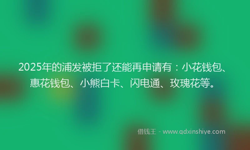 2025年的浦发被拒了还能再申请有：小花钱包、惠花钱包、小熊白卡、闪电通、玫瑰花等。