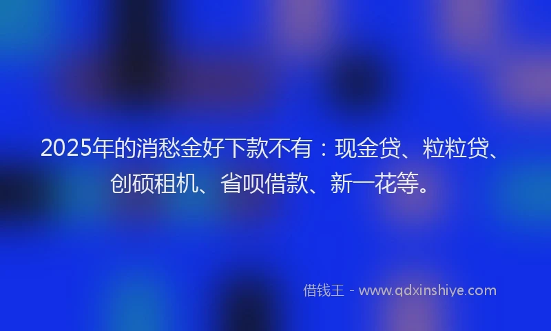 2025年的消愁金好下款不有：现金贷、粒粒贷、创硕租机、省呗借款、新一花等。