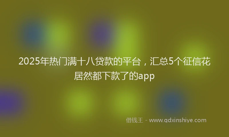 2025年热门满十八贷款的平台，汇总5个征信花居然都下款了的app