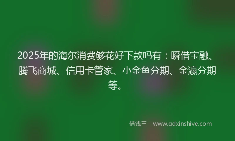 2025年的海尔消费够花好下款吗有：瞬借宝融、腾飞商城、信用卡管家、小金鱼分期、金瀛分期等。