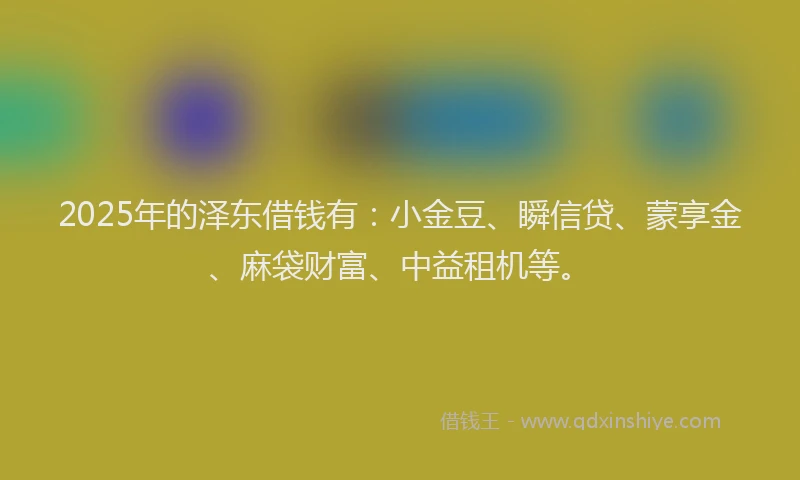 2025年的泽东借钱有:小金豆、瞬信贷、蒙享金、麻袋财富、中益租机等。